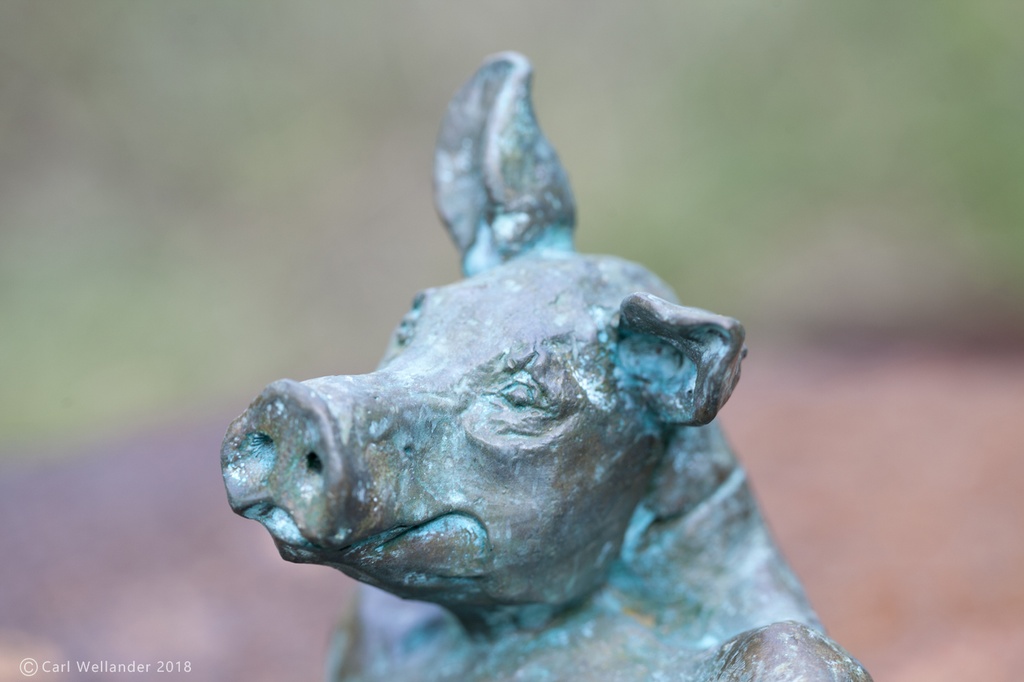 Wellander_PieceOfMeatSignerad02.jpg
